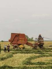 The Ugly Womanapos;s