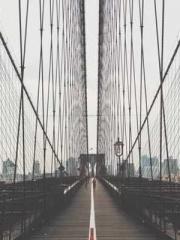 Ling Hao Qin Yuxin R