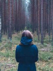 lt;Heavenly Fire Dyn