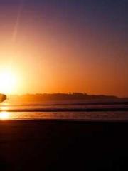 A Heavenly Gift: The