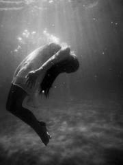 Peninsula Asteroid l