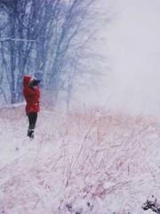 Chen Pingapos;an and