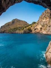 Wine, sex, money and