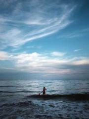 My Sweet Wife: The C