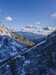 The Sovereign of the