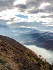 Double Blessing: CEO