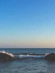 Mr. Shen, overdue an