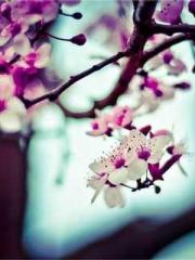 Qi is thin, but I be