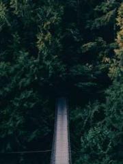 The Generalapos;s Hu