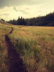 Shocking! This prota