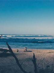 Spring fills Beijing