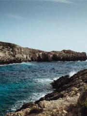 Rong Zhao Nanning Yu