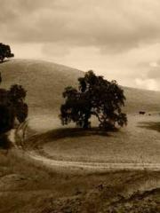 Bones-Eating Marriag