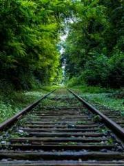 One Pregnancy, Two B