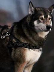 lt;lt; The Divine Do