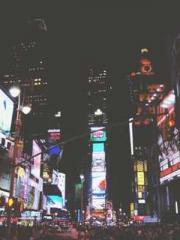 The Favorite Concubi