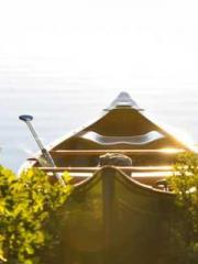 Transmigrated to the