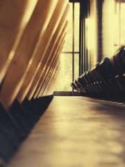 The Favorite Concubi