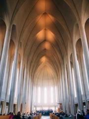 The Heavenly Physici