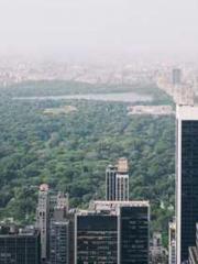 The Imperial Concubi