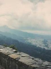 lt;Natural Disasters